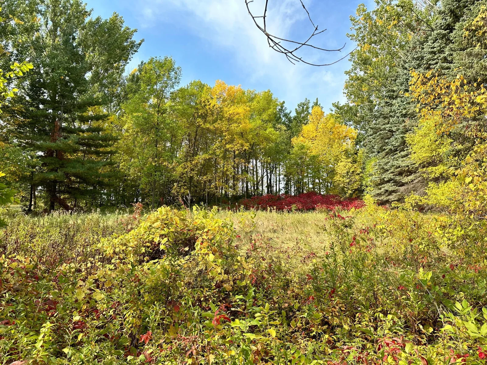 Autumn beaty