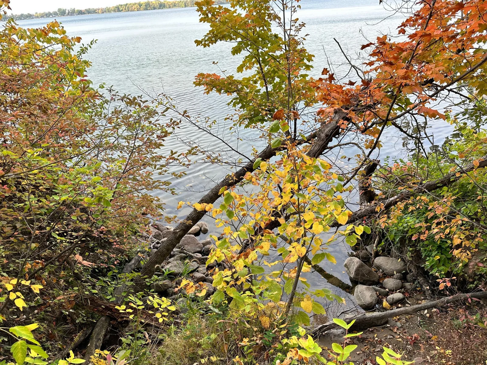 Waterfront
