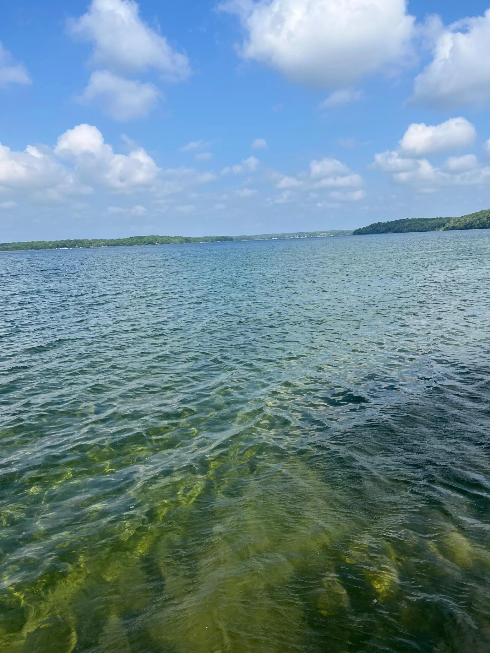 View from Lake level