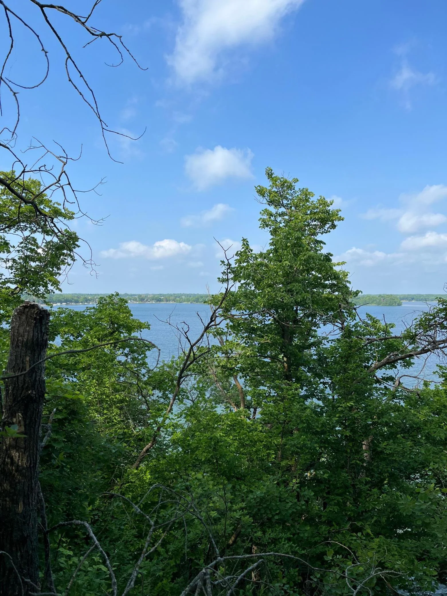 Panoramic view of Rose Lake