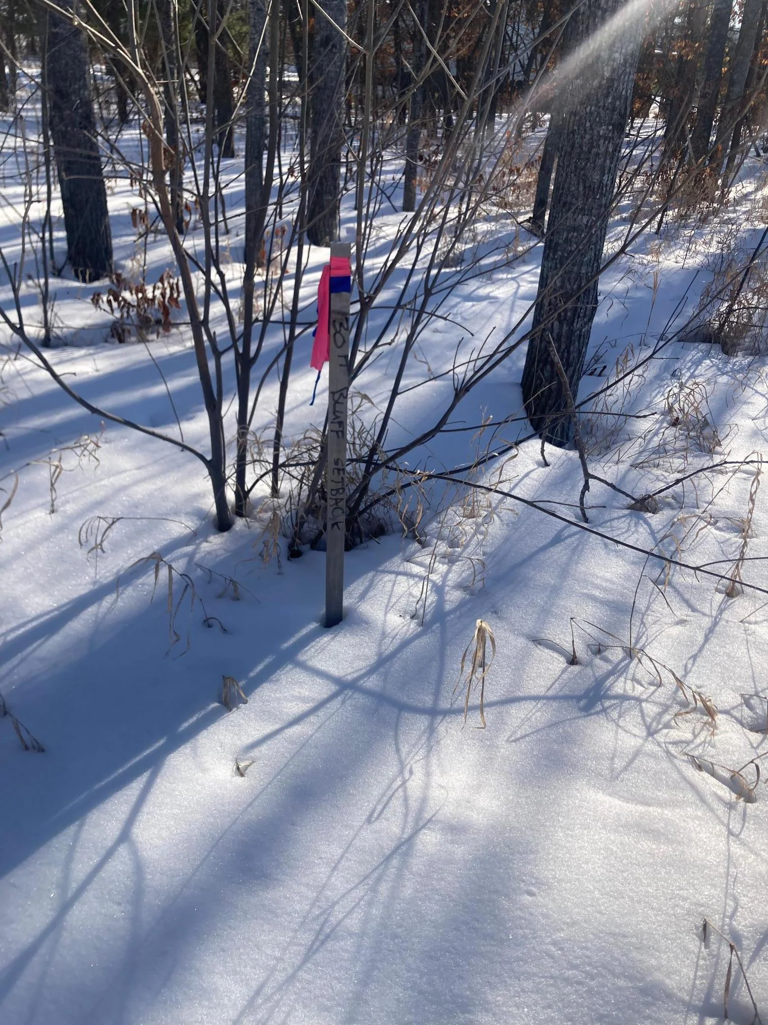 Survey stake