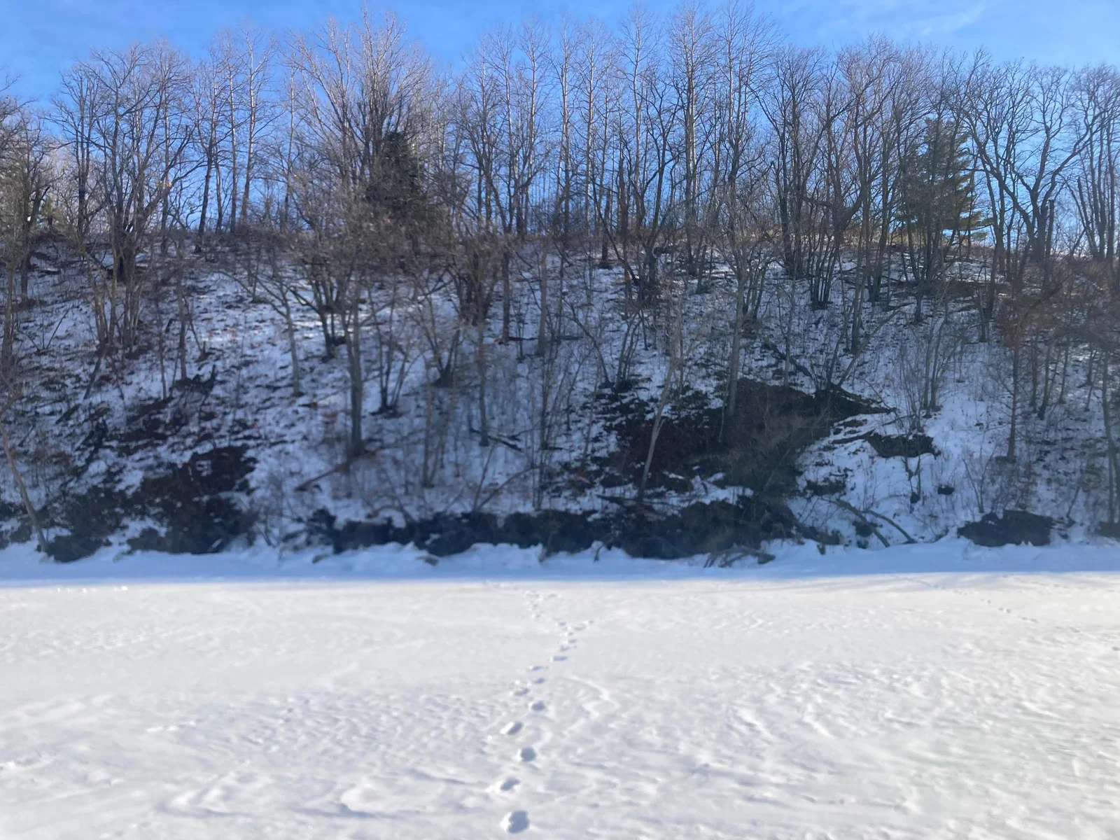 Shoreline from Lake