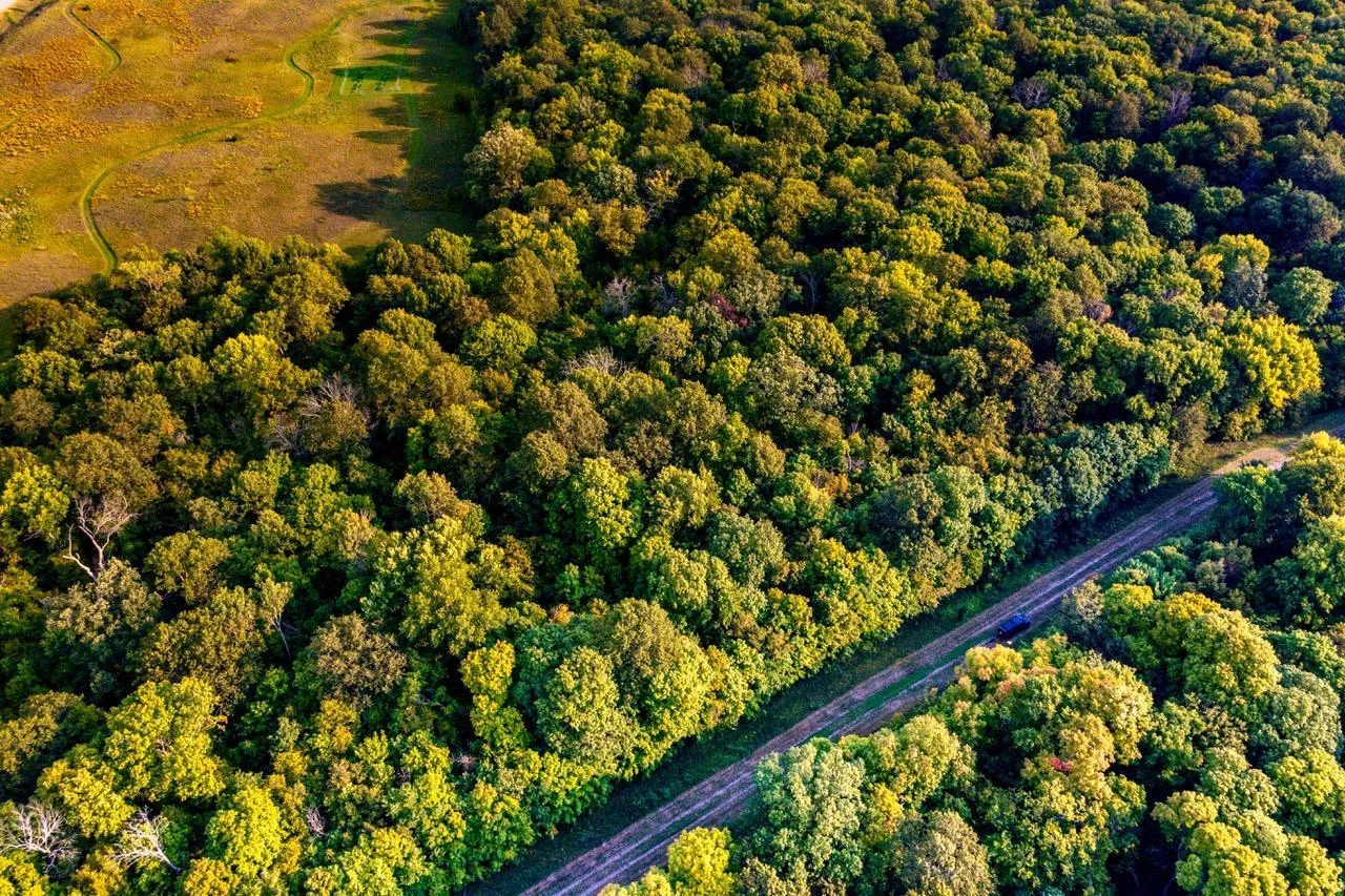 aerial backlots