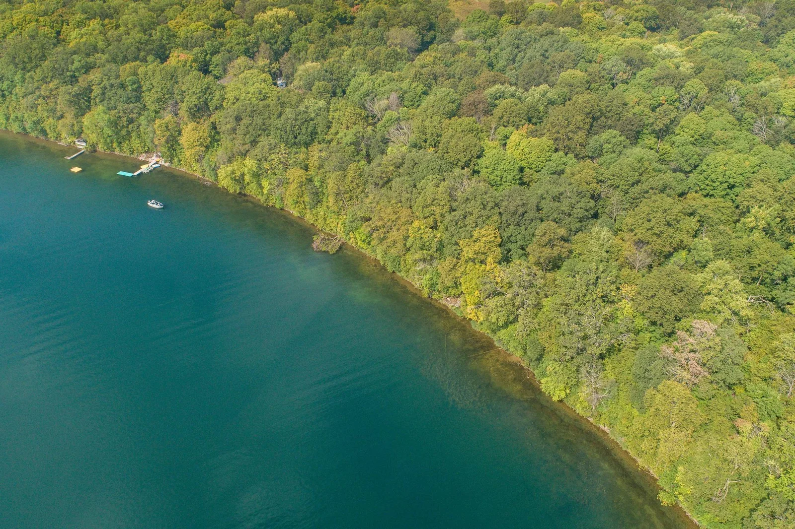 aerial