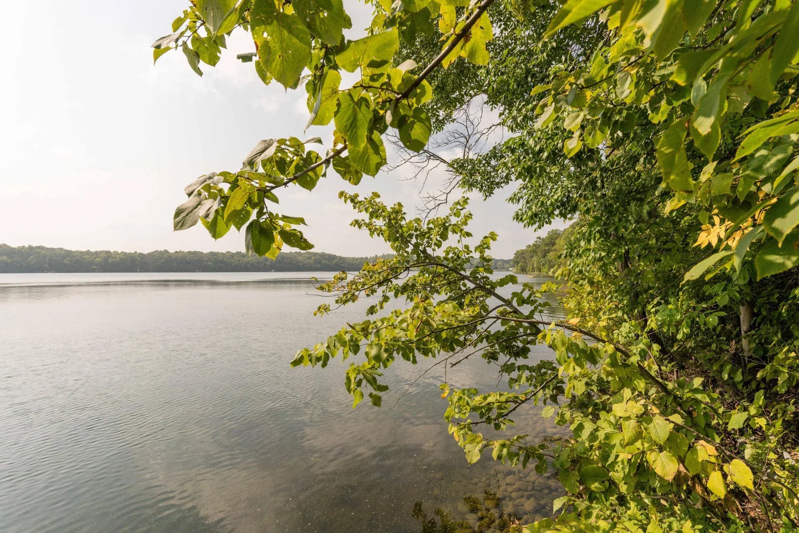clear lake