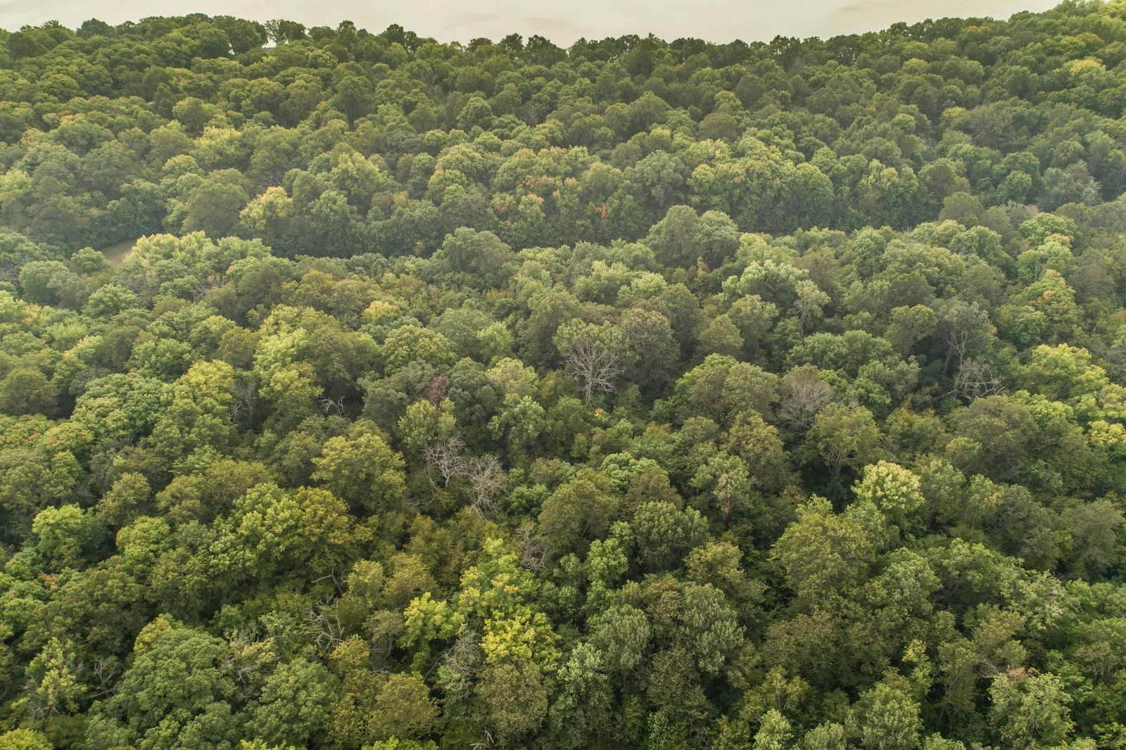 aerial backlots