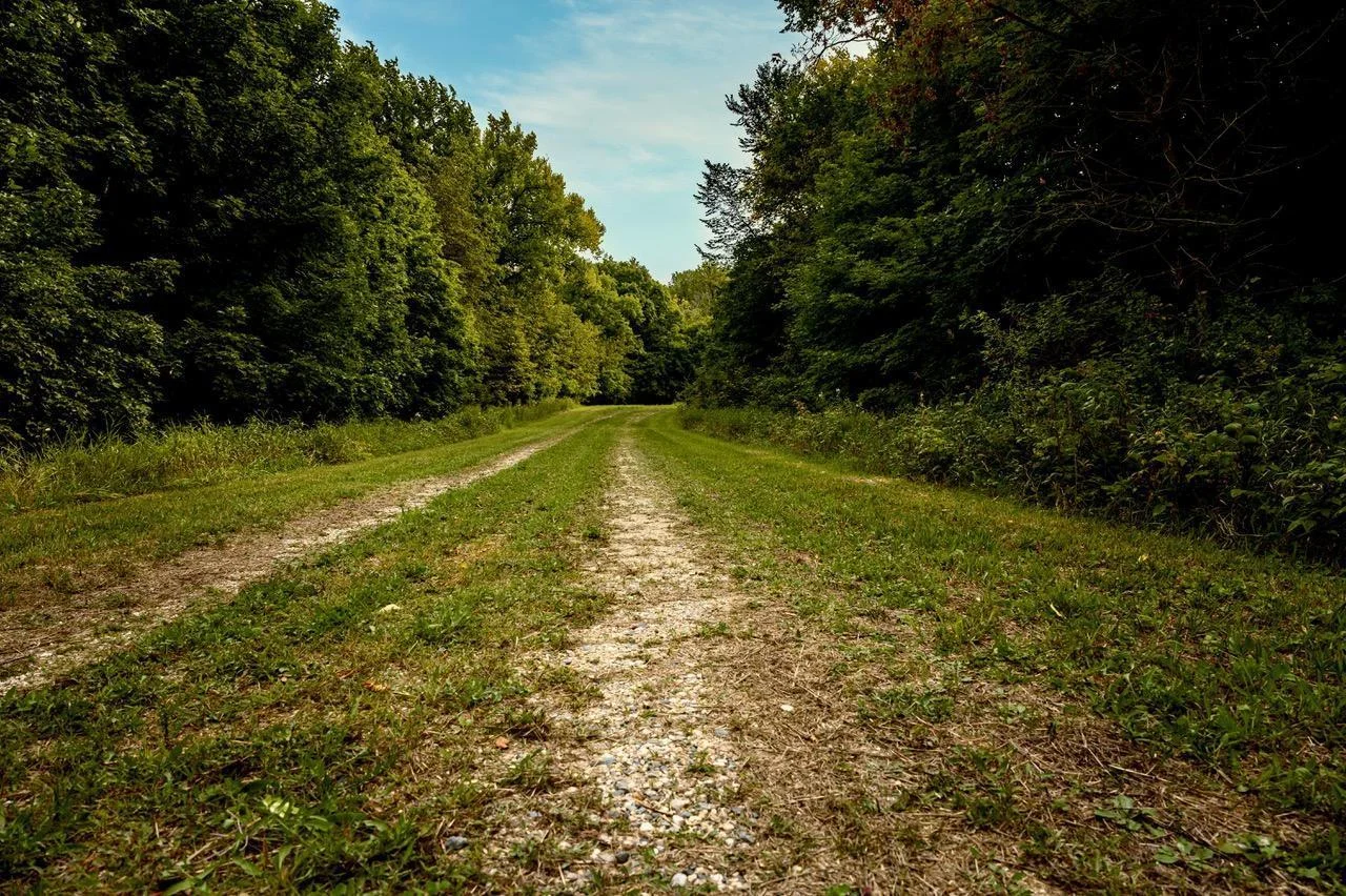 access road