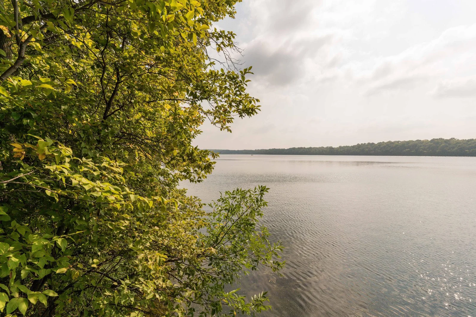 clear lake