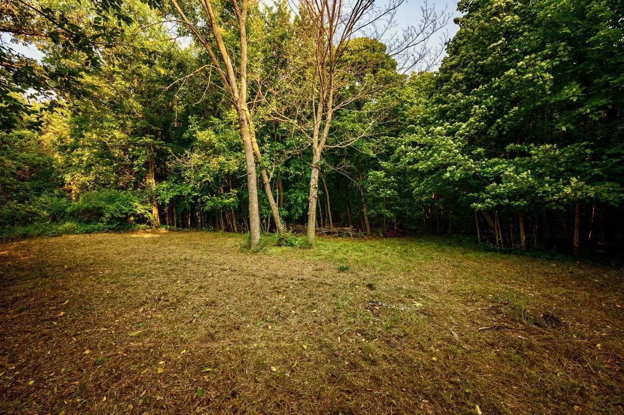 cleared space