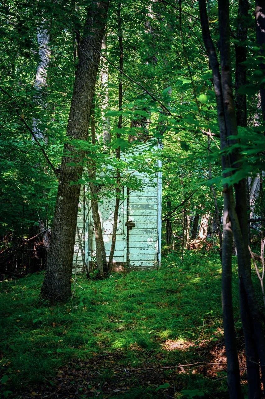woods