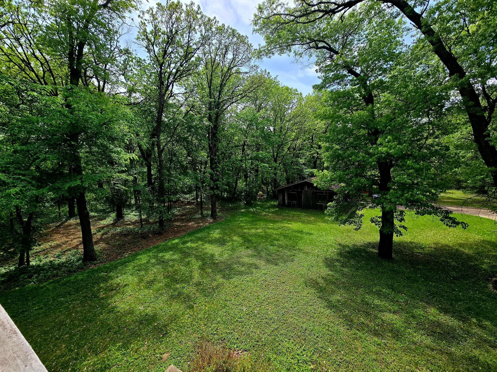 Front Yard