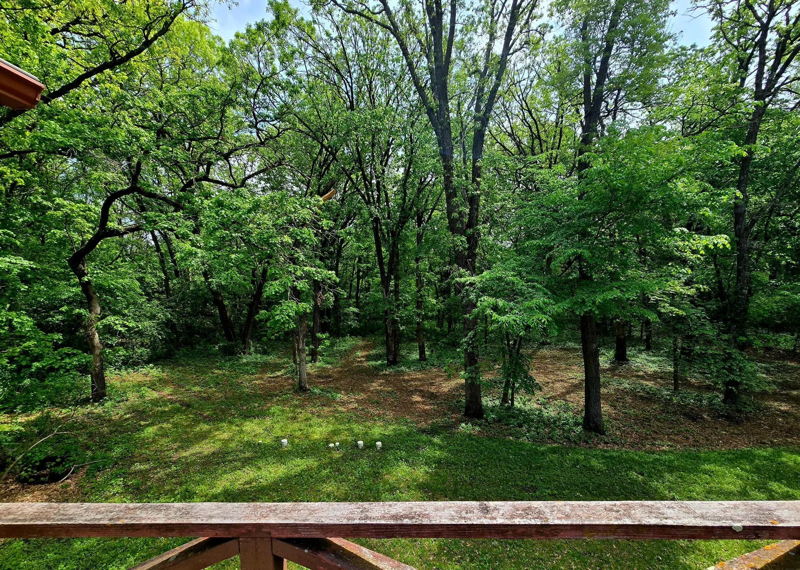 Front Yard
