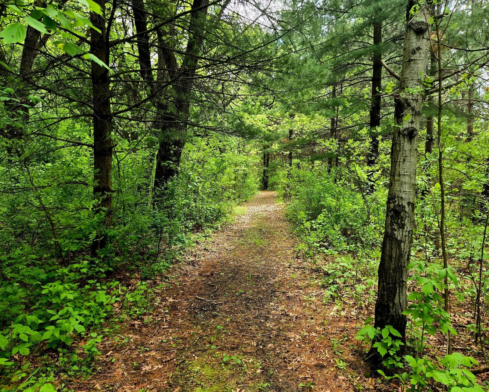Private Walking Trails