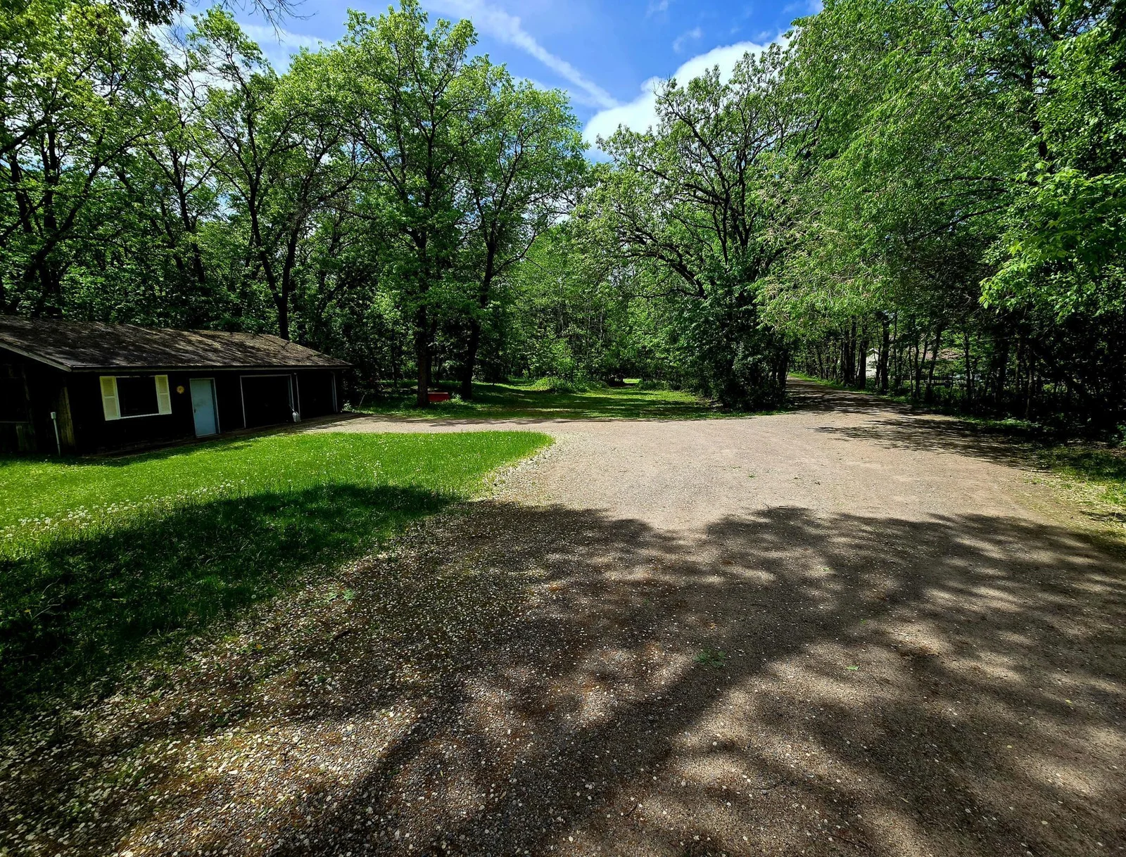 Mature Trees