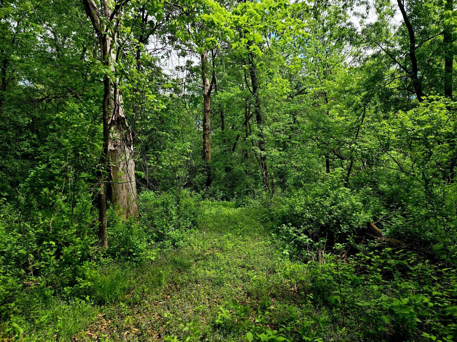 Private Walking Paths Throughout the Property