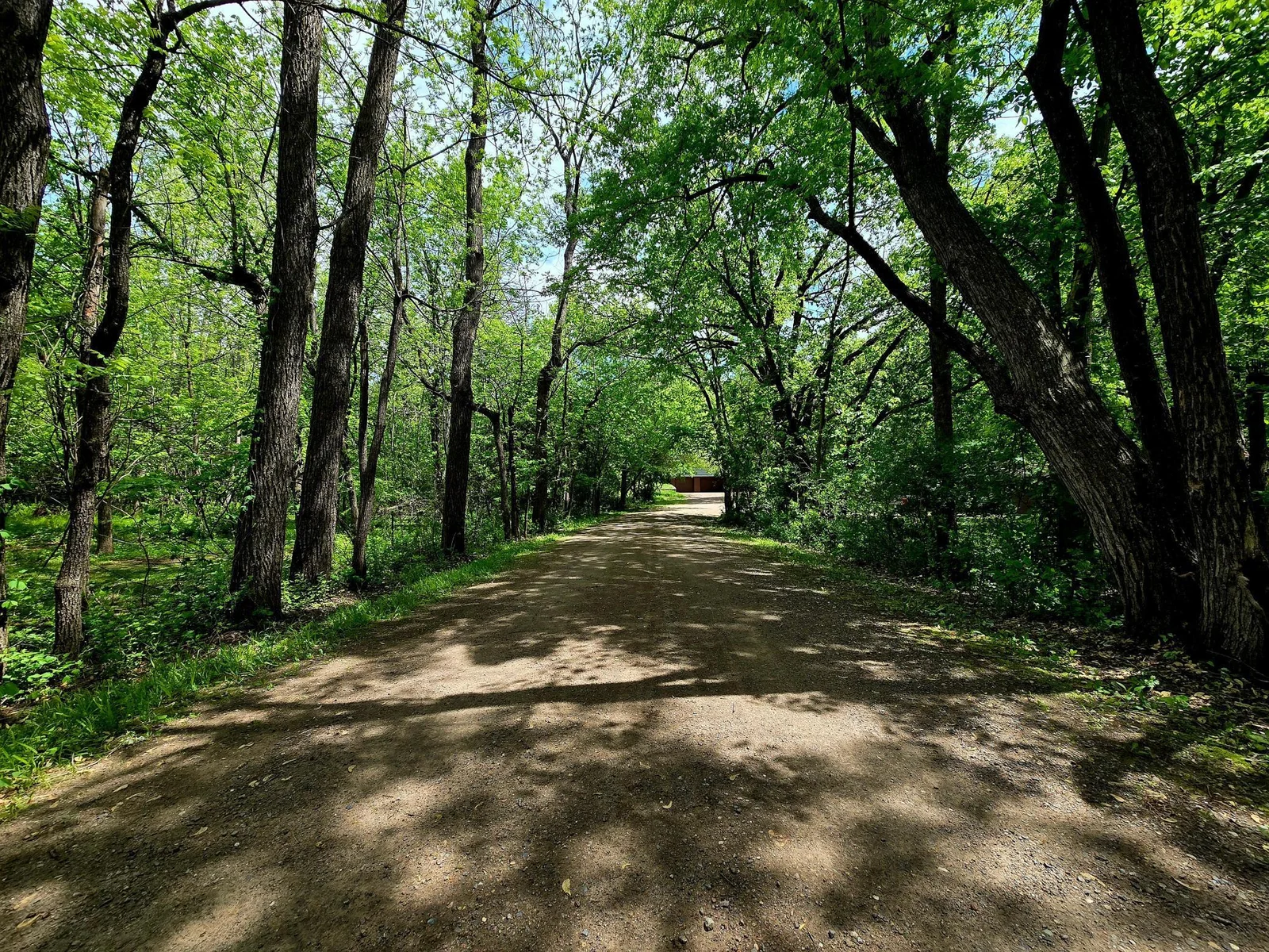 Private Driveway with Mature Trees