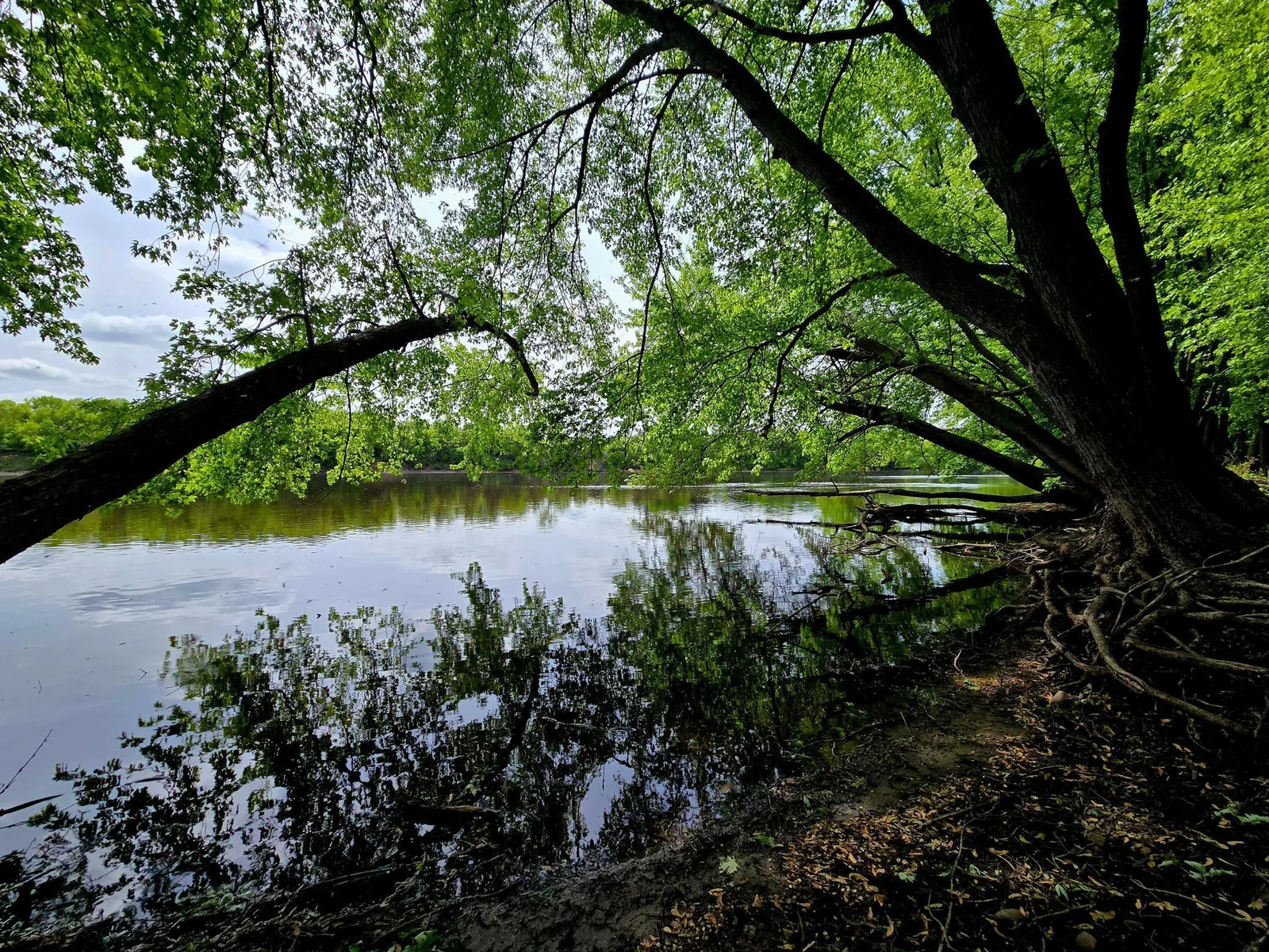 Mississippi River