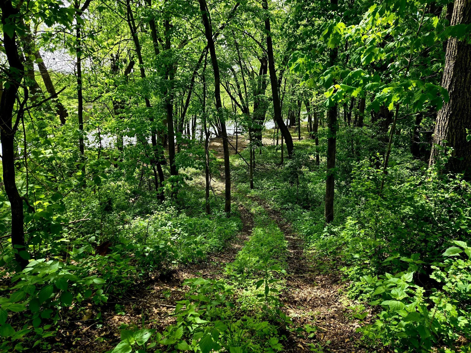 River Access