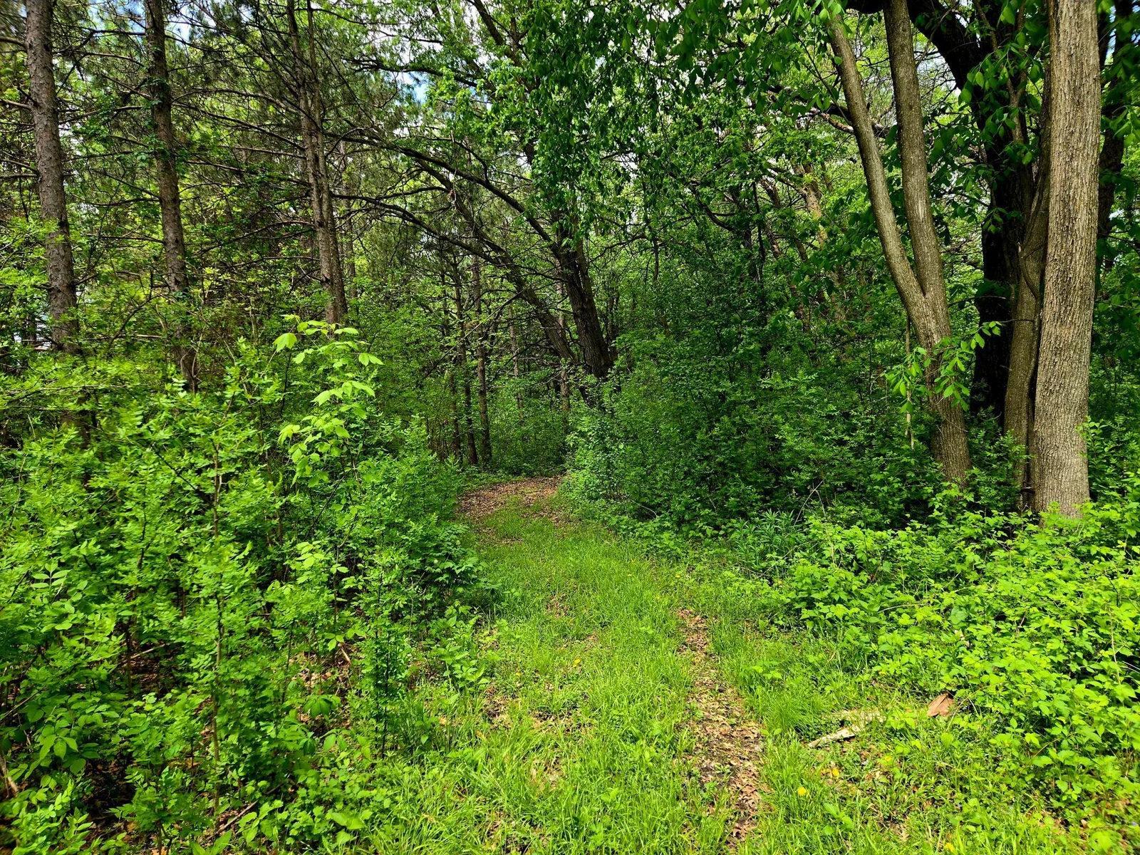Private Walking Paths Throughout the Property