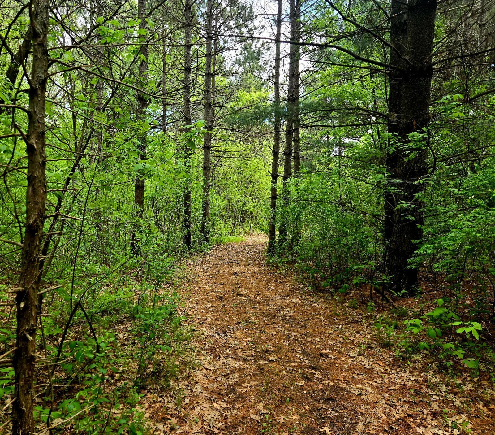 Private Walking Paths Throughout the Property