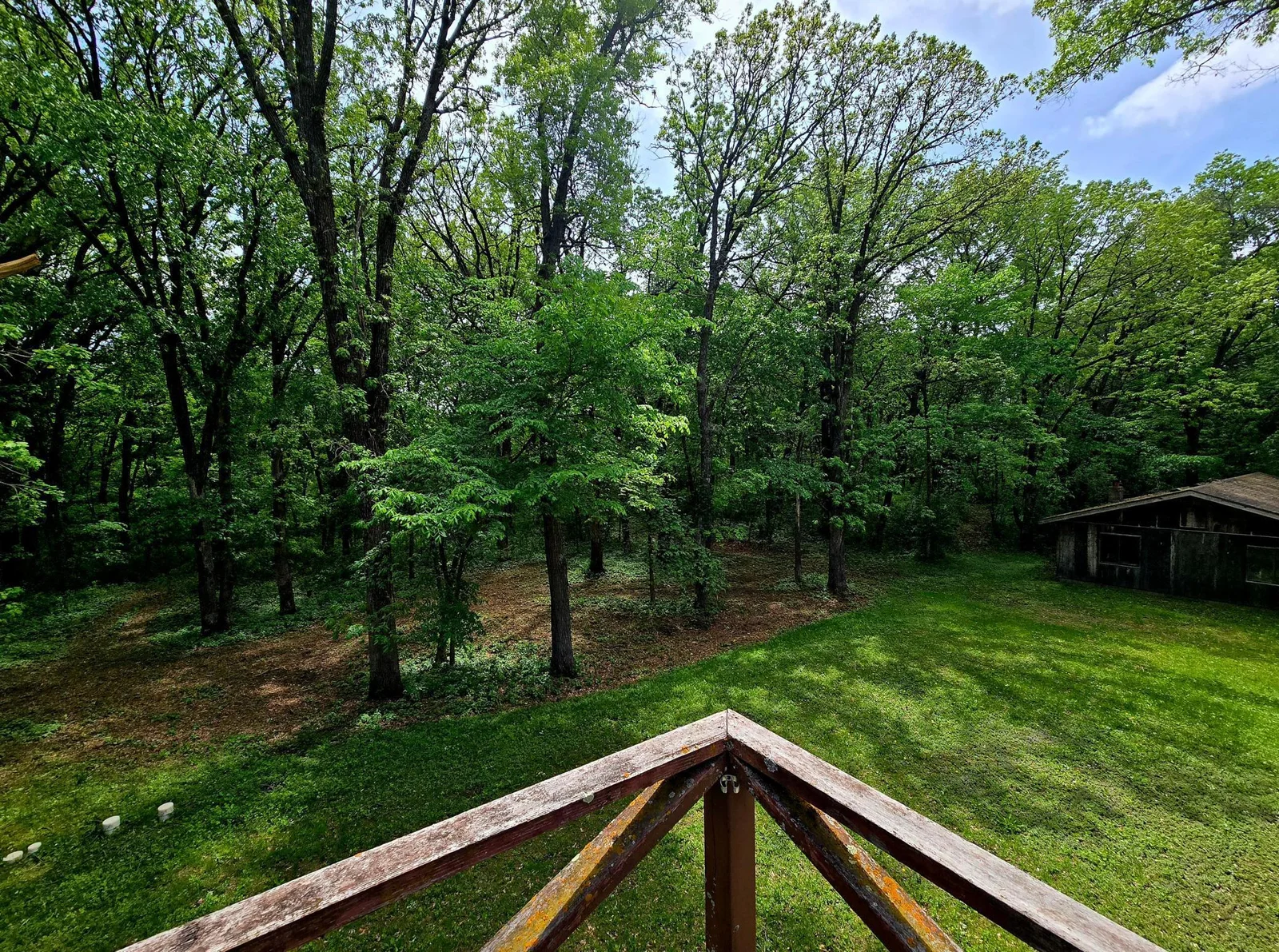 Front Yard