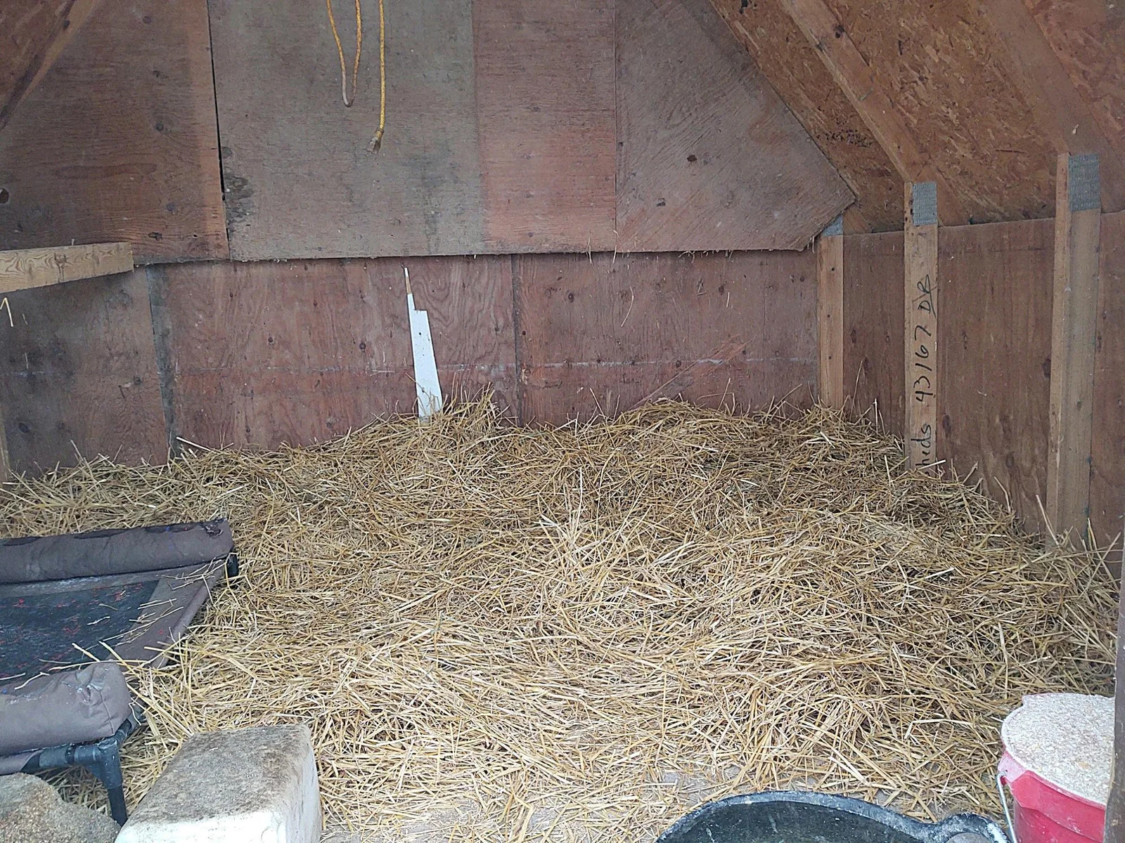 Chicken Coup