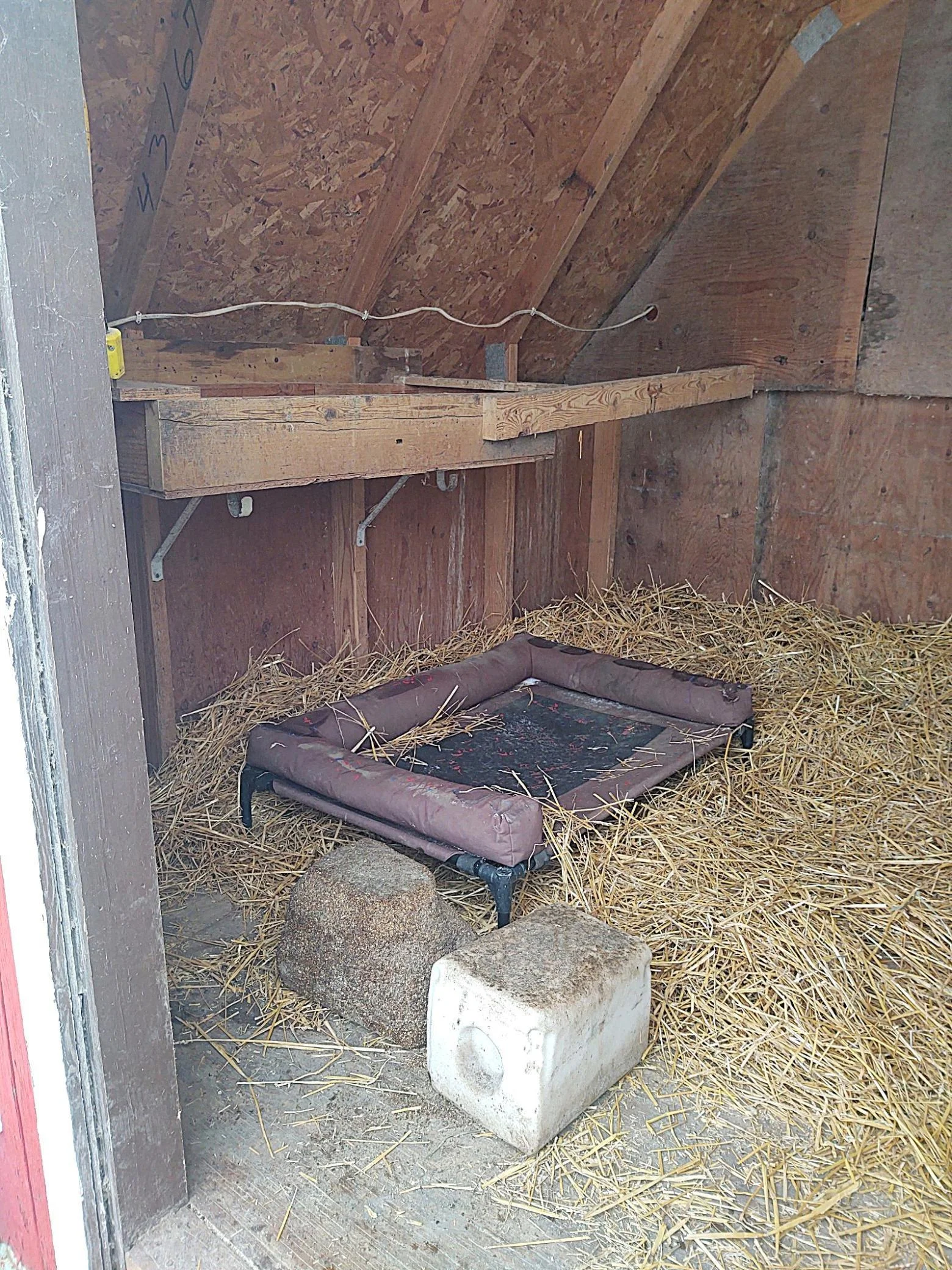 Chicken Coup