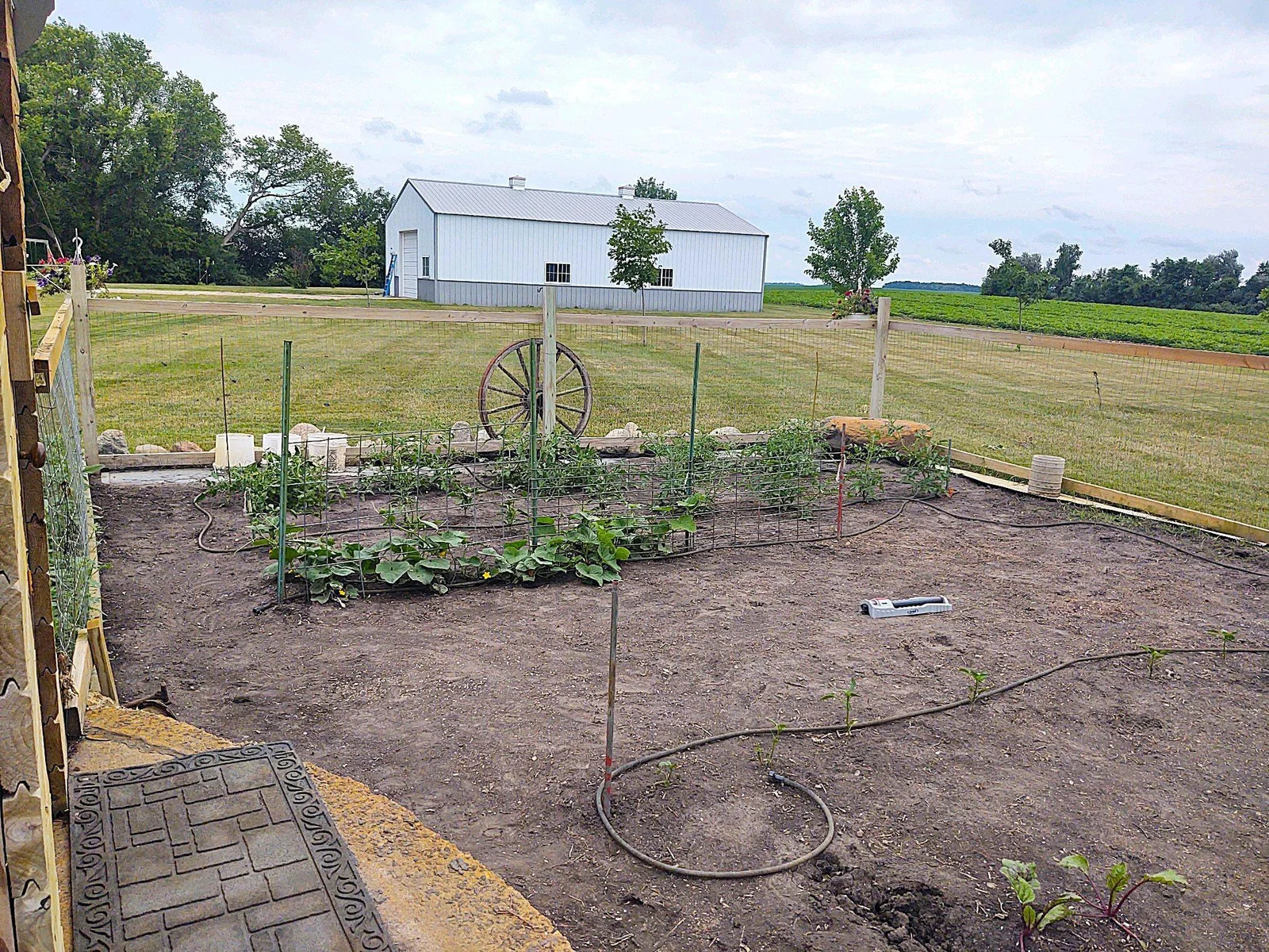 Garden Area