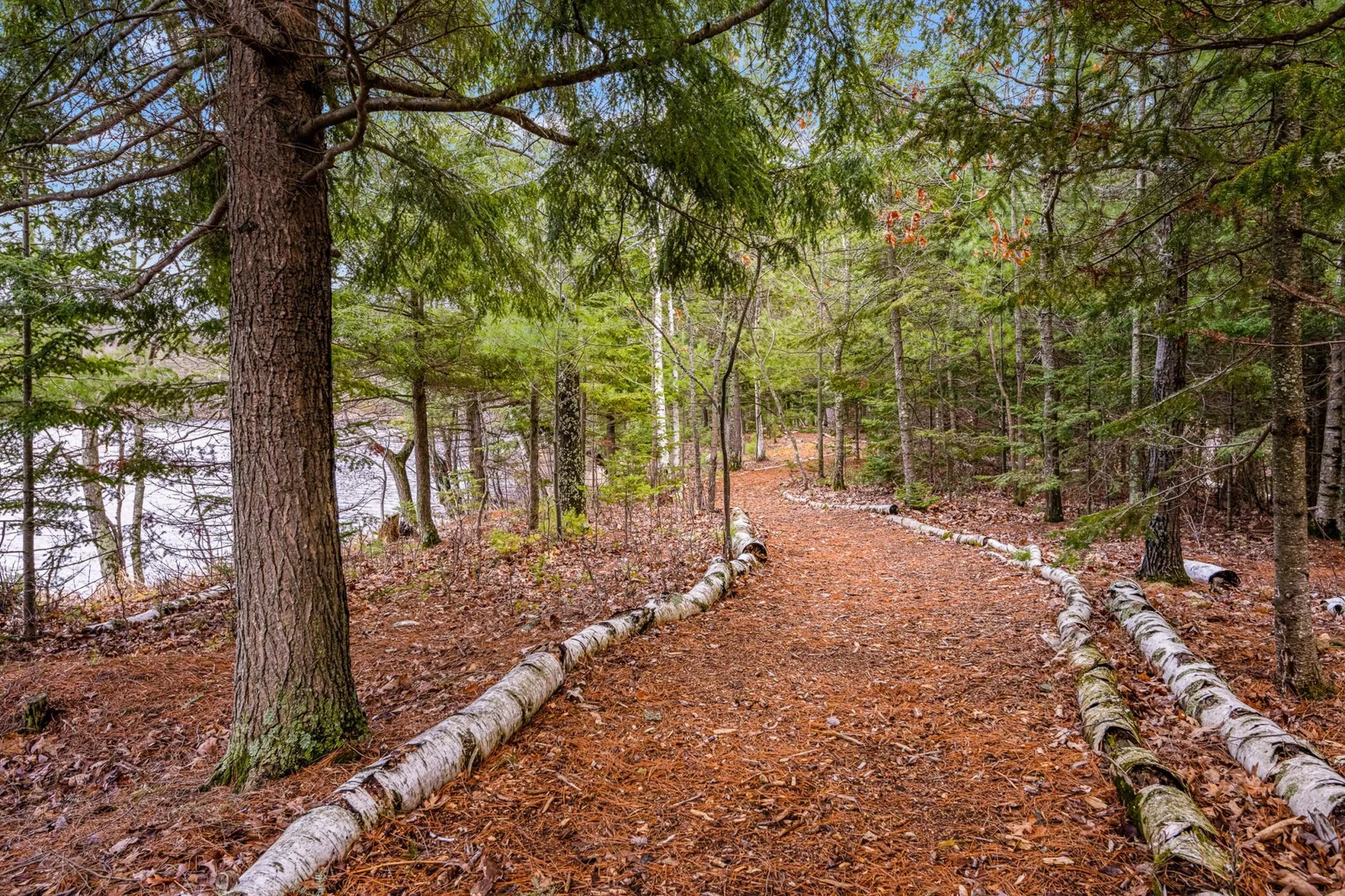 Path to the Lake