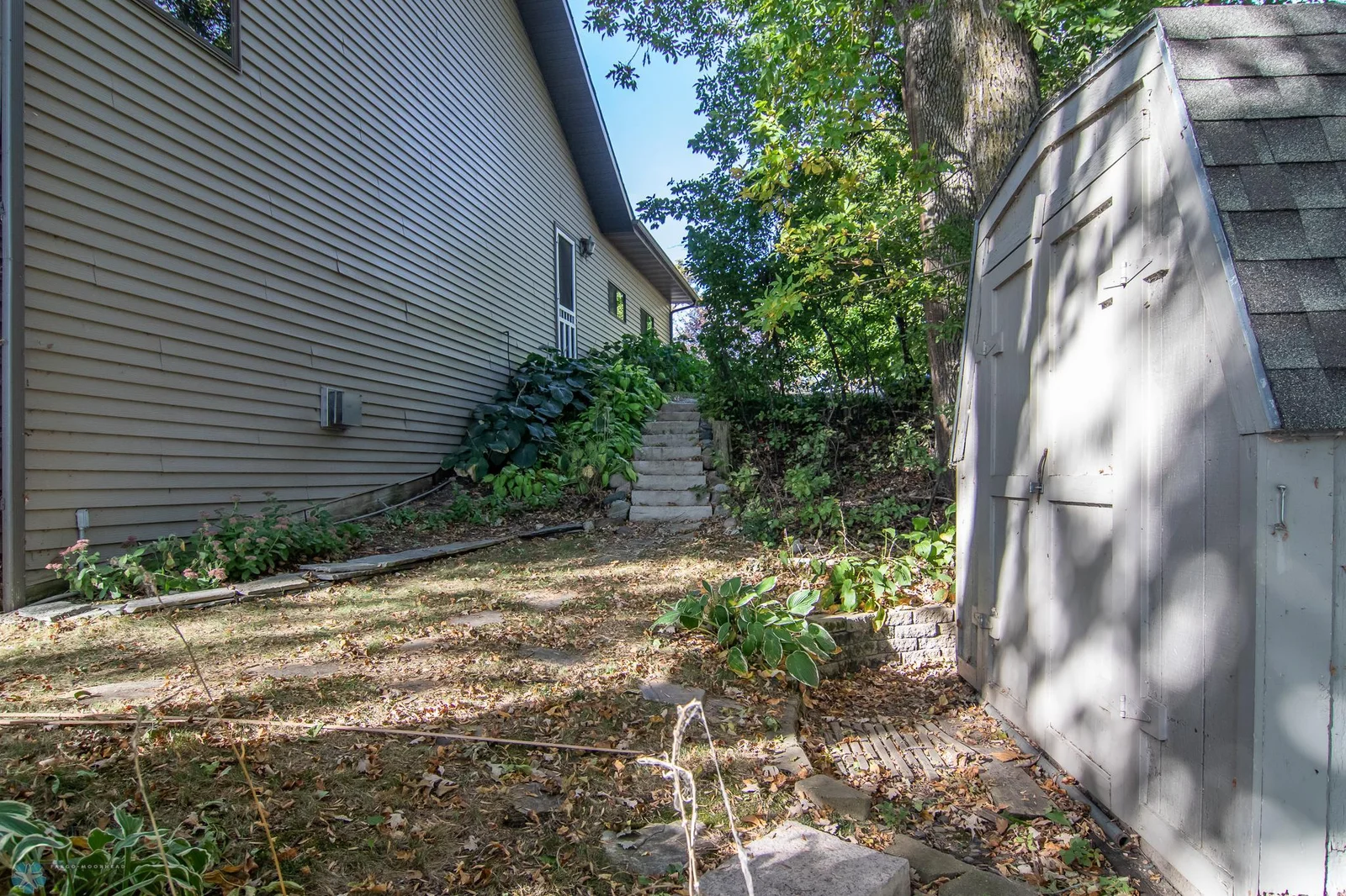 Image-56.jpg
