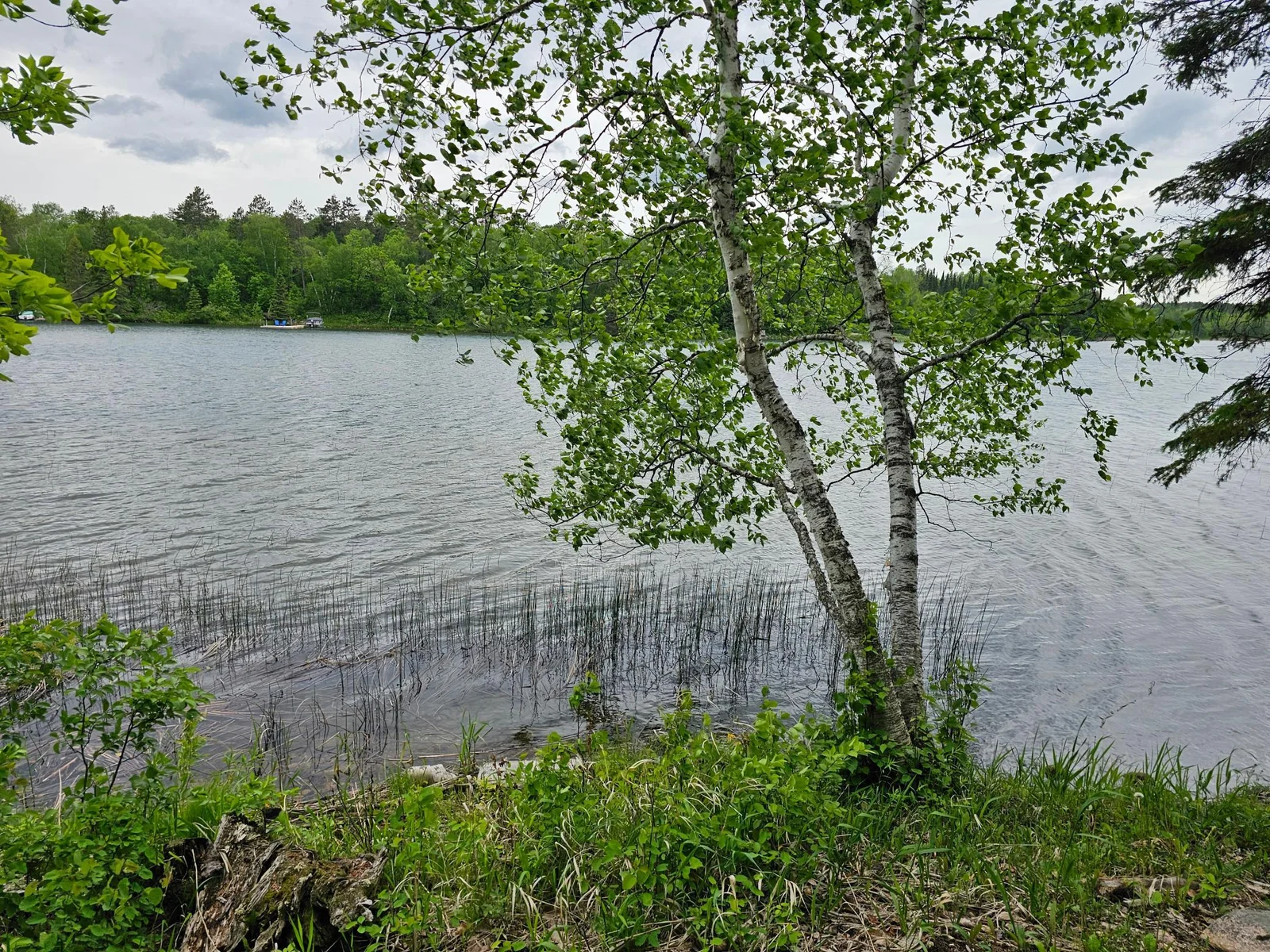 Thumbnail photo 7