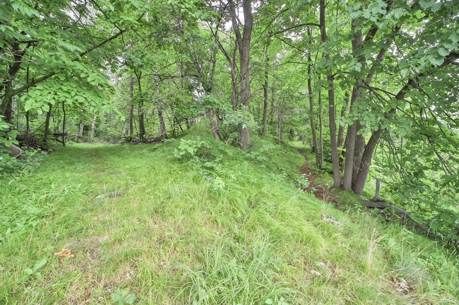 Thumbnail photo 57