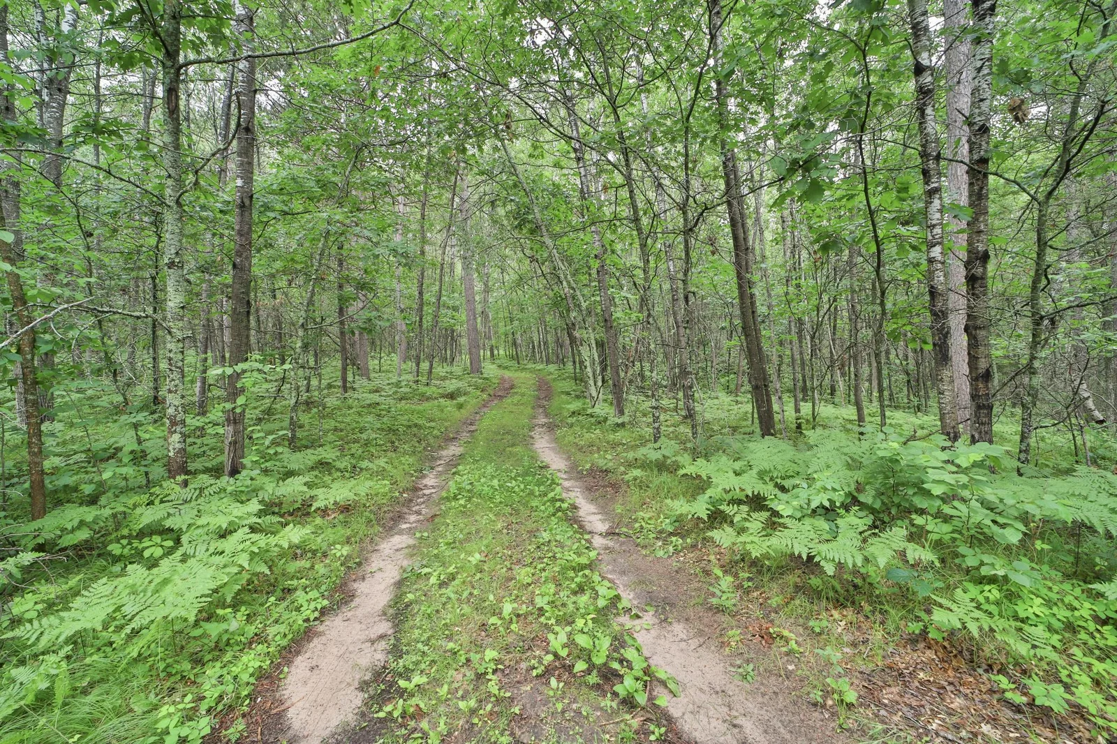 Thumbnail photo 58