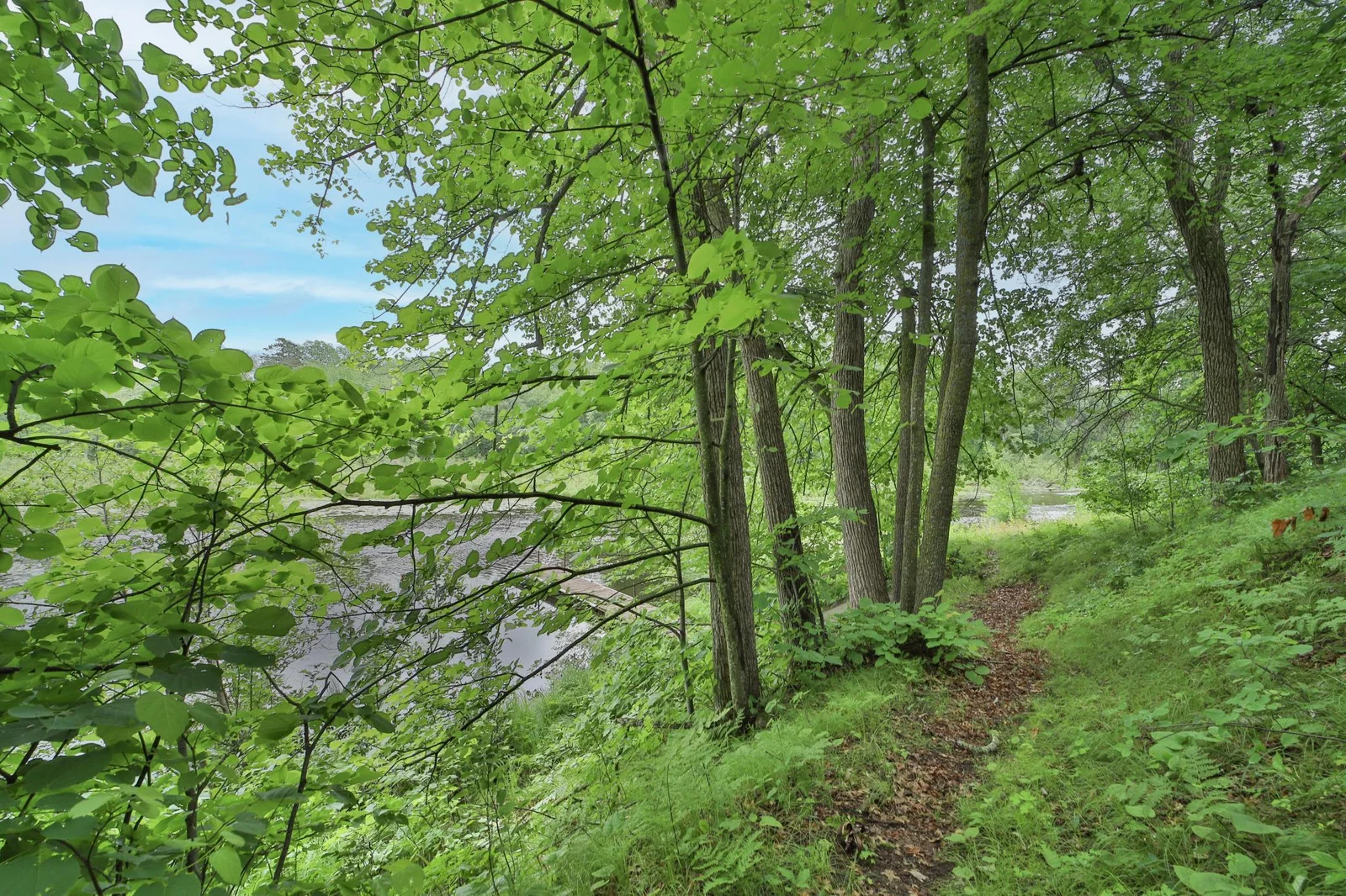 Thumbnail photo 53