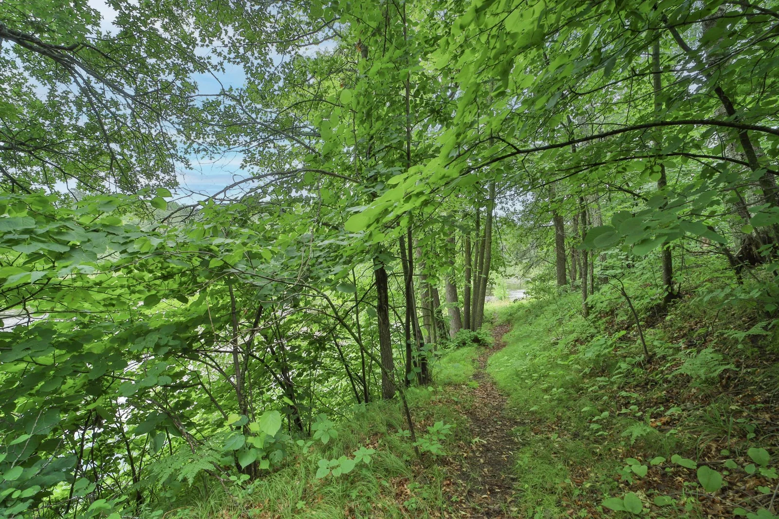 Thumbnail photo 52
