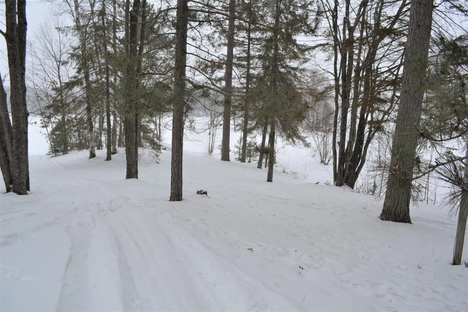 Snowmobile, ATV/UTV trails