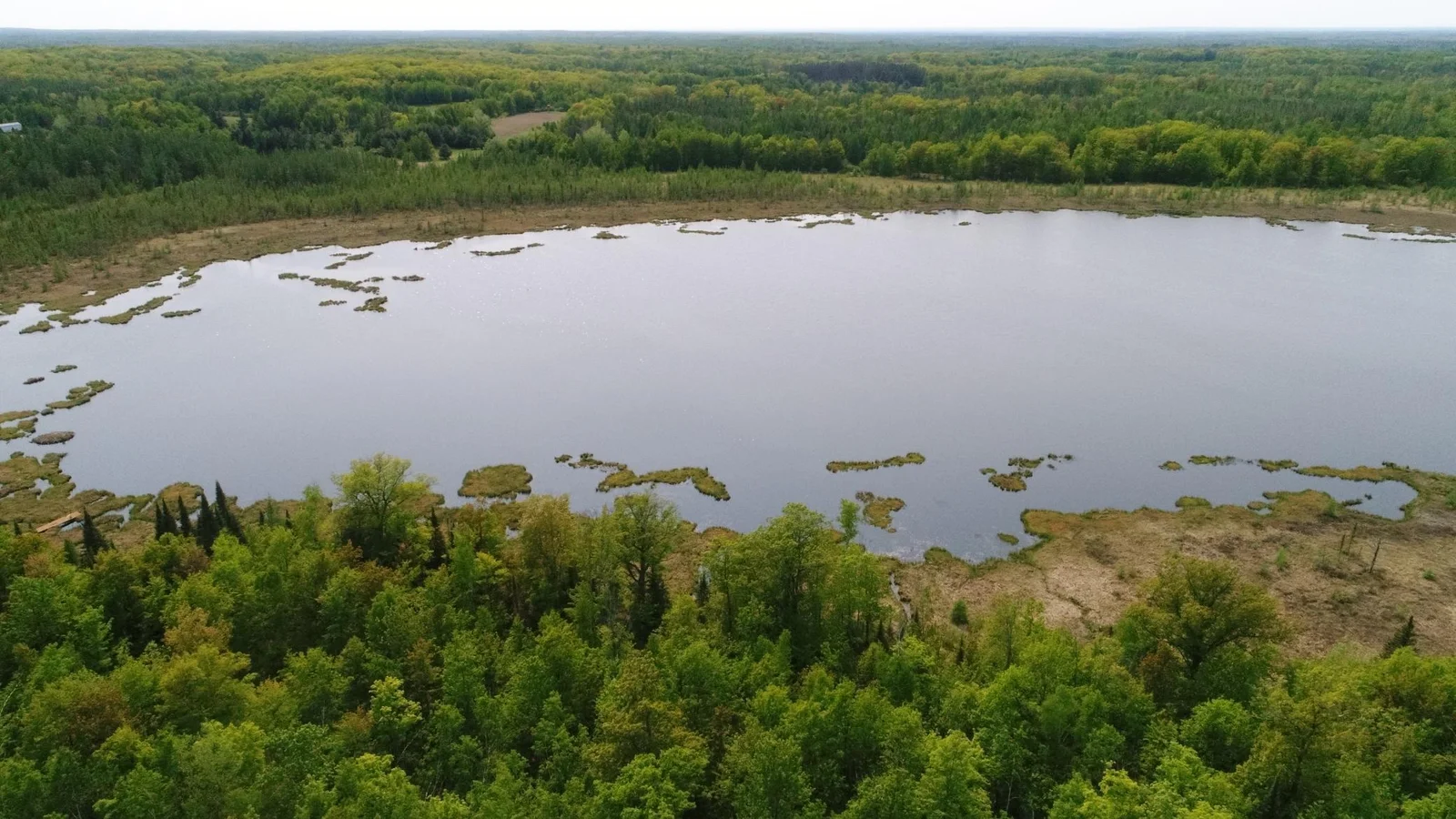 DJI_0012.JPG