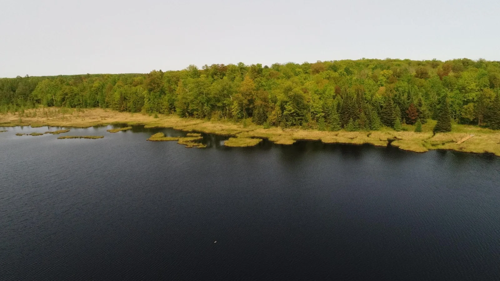 DJI_0006.JPG