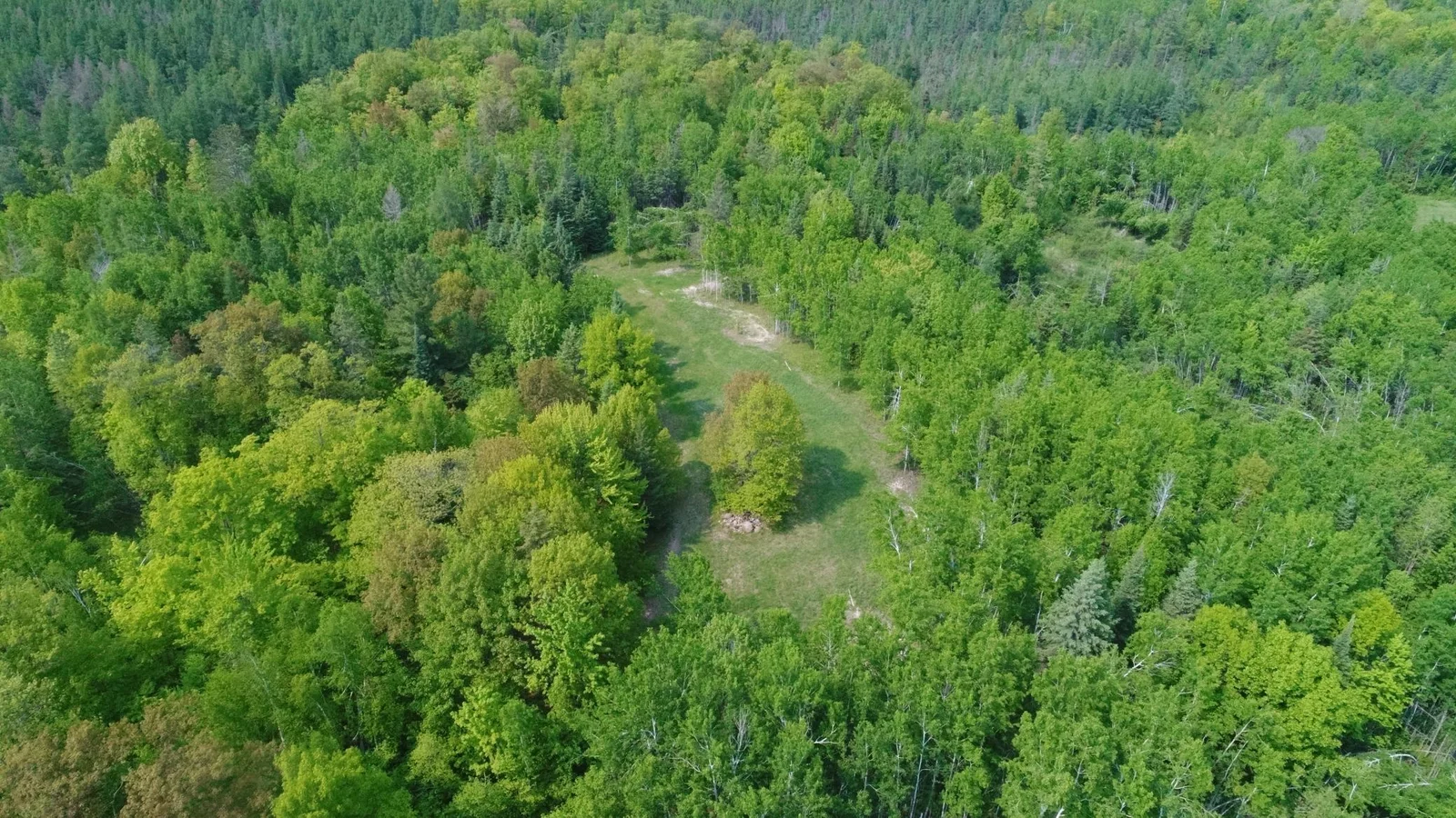 DJI_0011.JPG