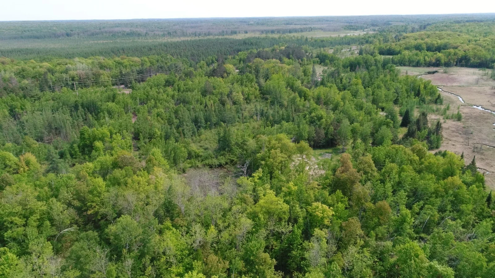 DJI_0013.JPG
