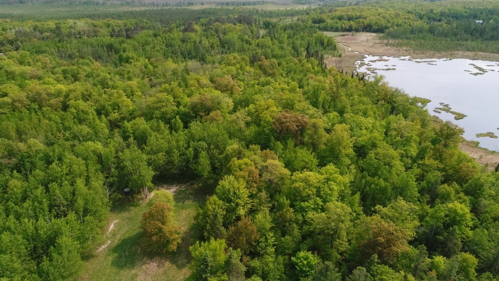 DJI_0014.JPG