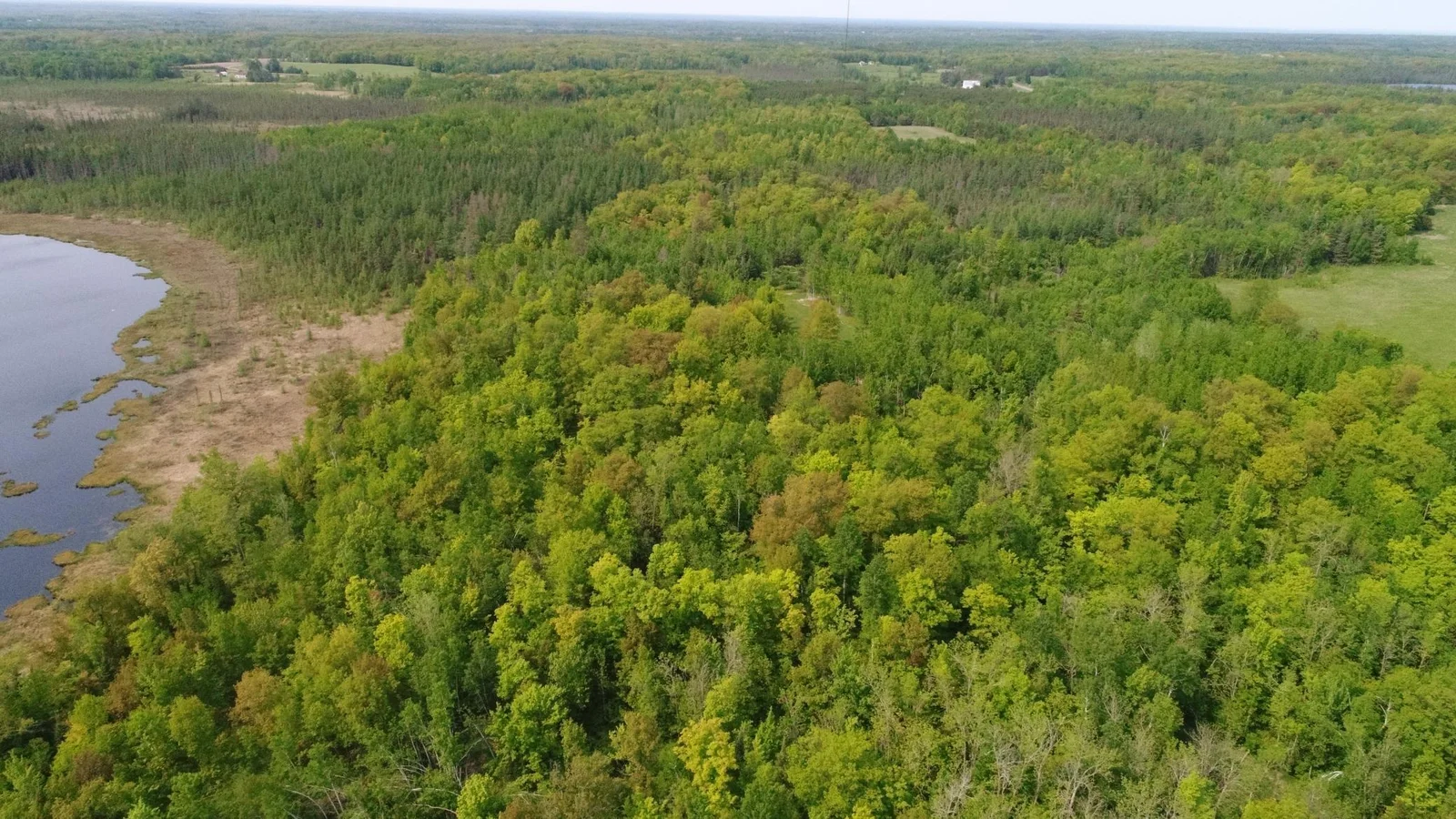 DJI_0009.JPG