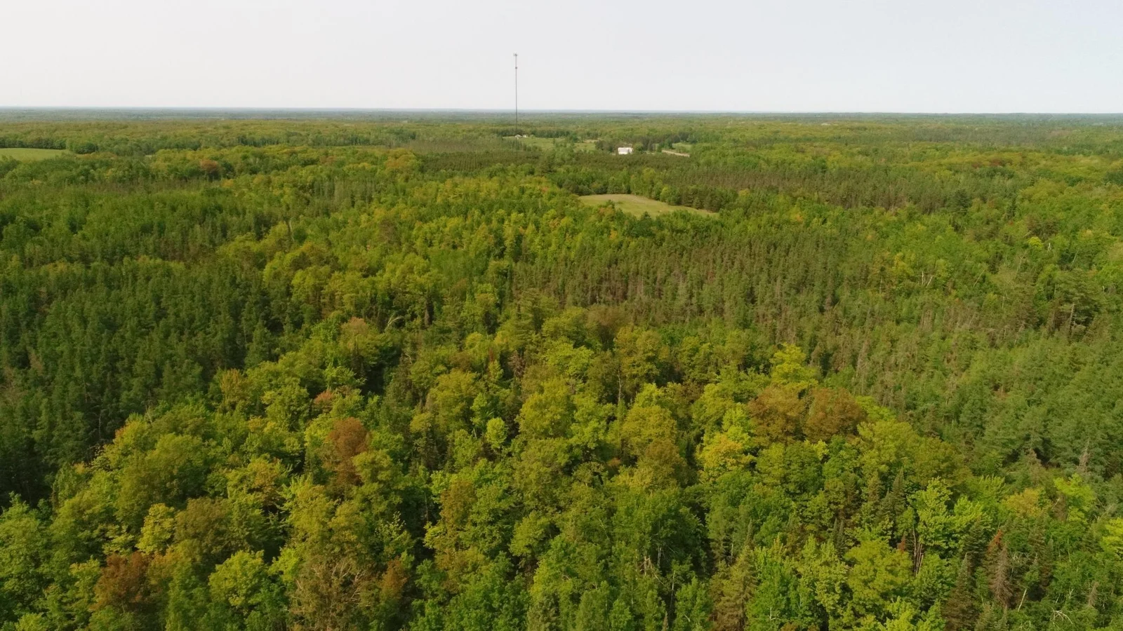 DJI_0015.JPG