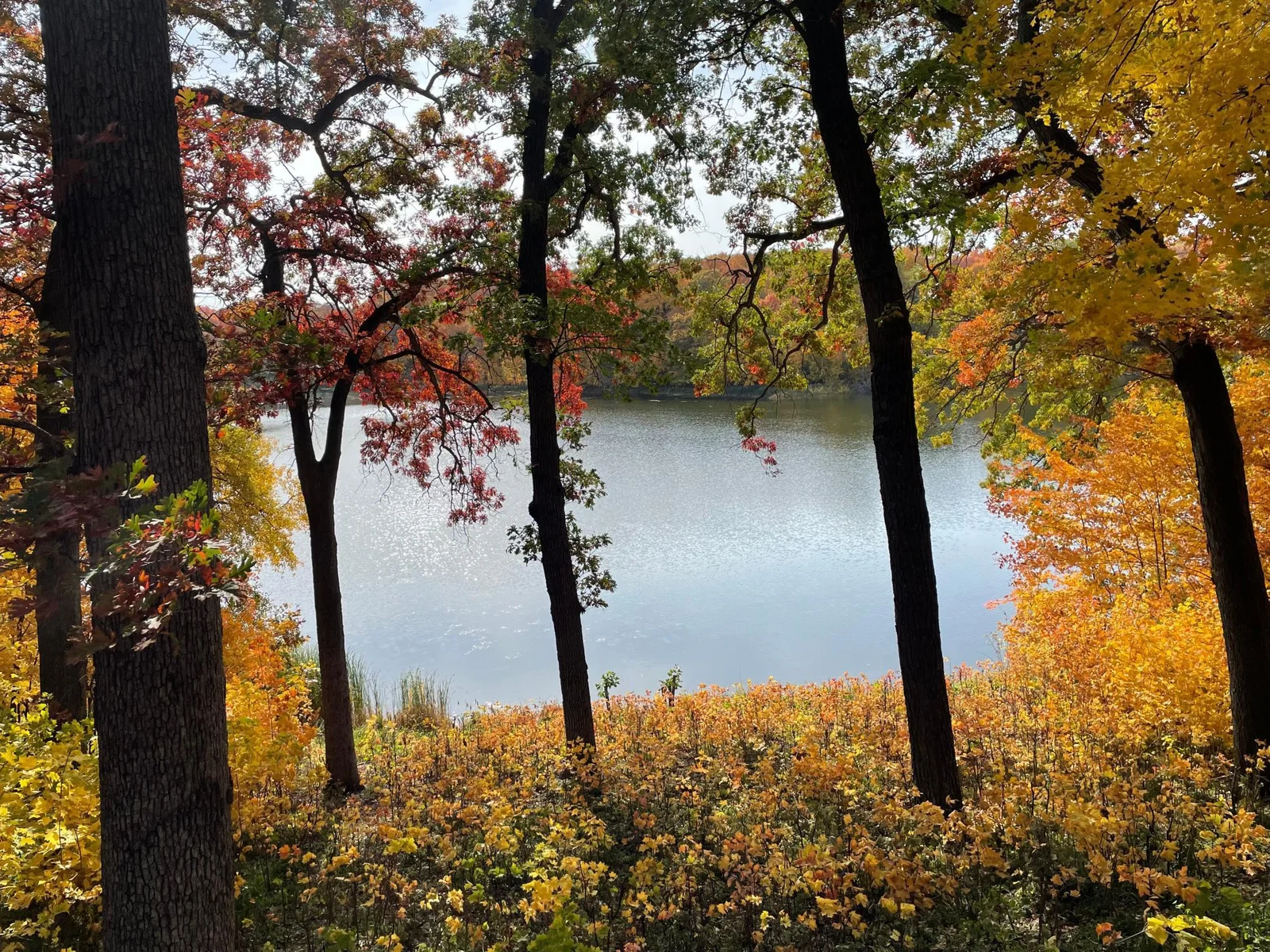 Thumbnail photo 65