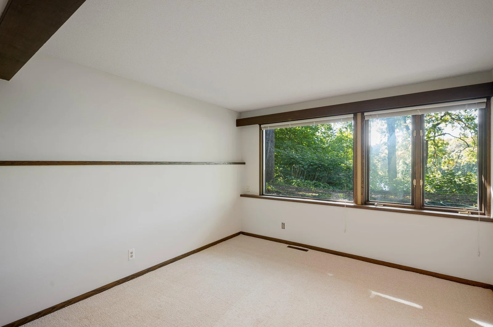 Lower Level Guest Bedroom