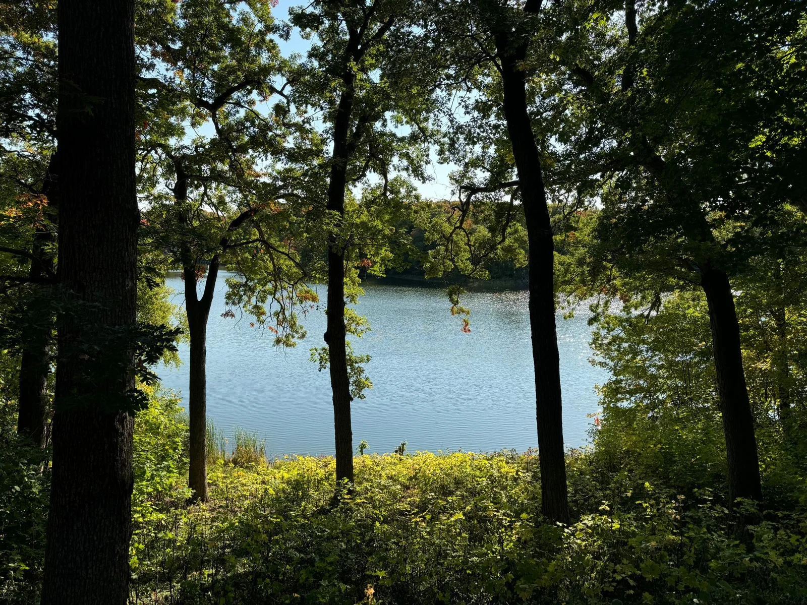 Mooney Lake