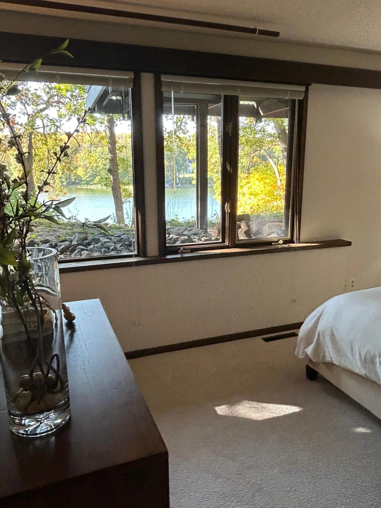 Lower Level Guest Bedroom