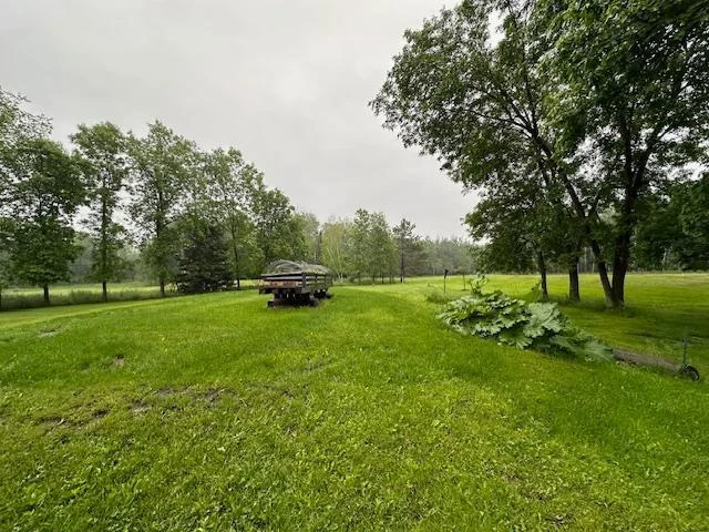 IMG_3945.jpg