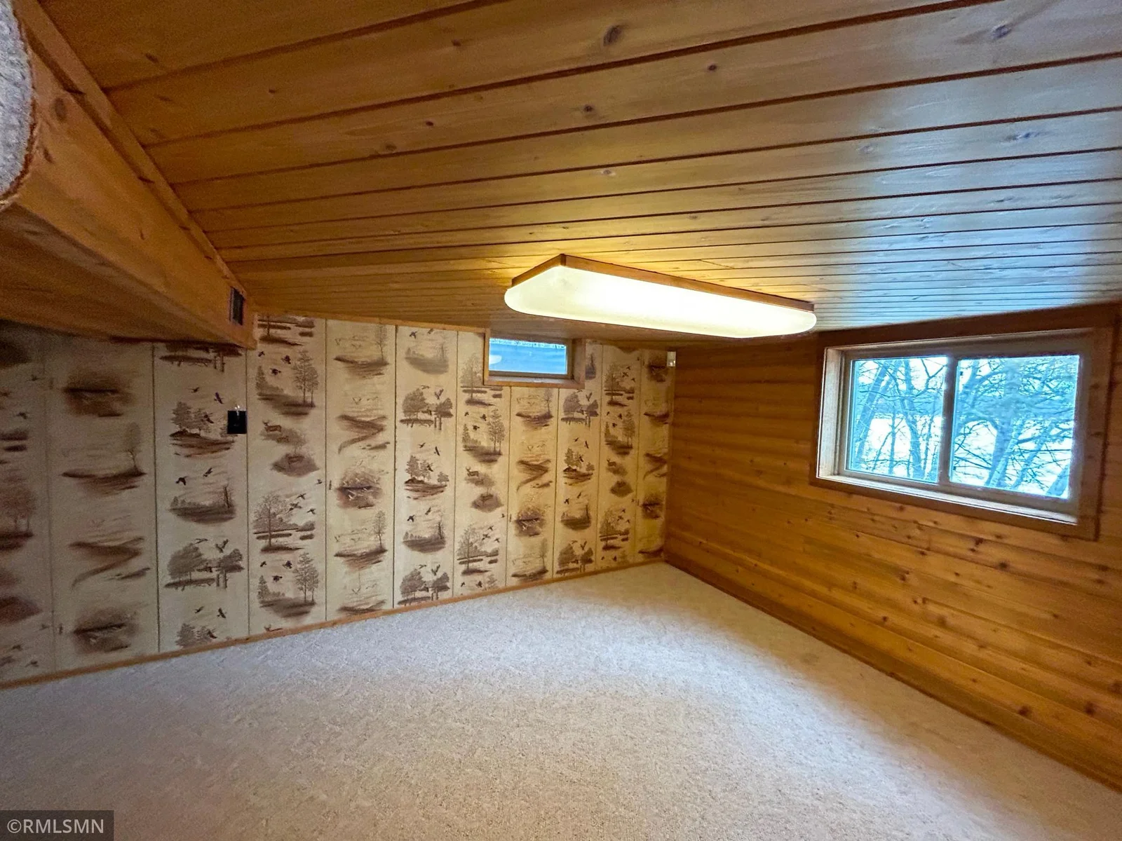 Enjoy this large multi-use area in the lower level.  Let your imagination free.