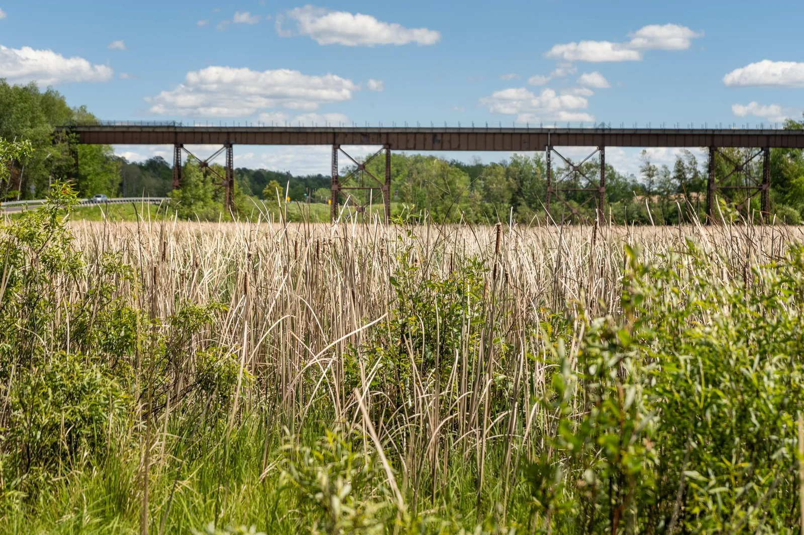 Scenic Highway Bovey on Prairie River-16.jpg